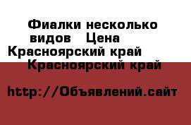 Фиалки несколько видов › Цена ­ 50 - Красноярский край  »    . Красноярский край